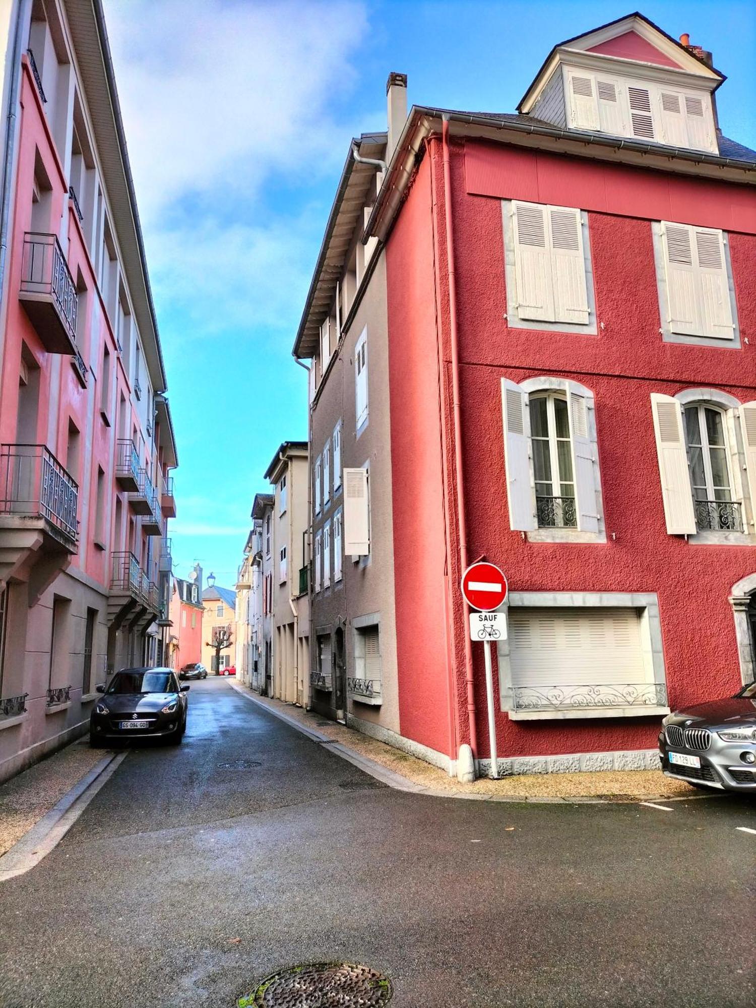 La Roseraie, Loft 3 Etoiles, Calme Et Ensoleille Au Pied Des Pyrenees Bagneres-de-Bigorre Bagian luar foto